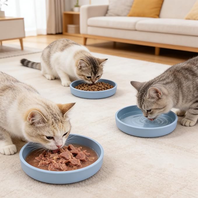 Bowls, Blankets, and the Art of Negotiating with a Furry Dictator